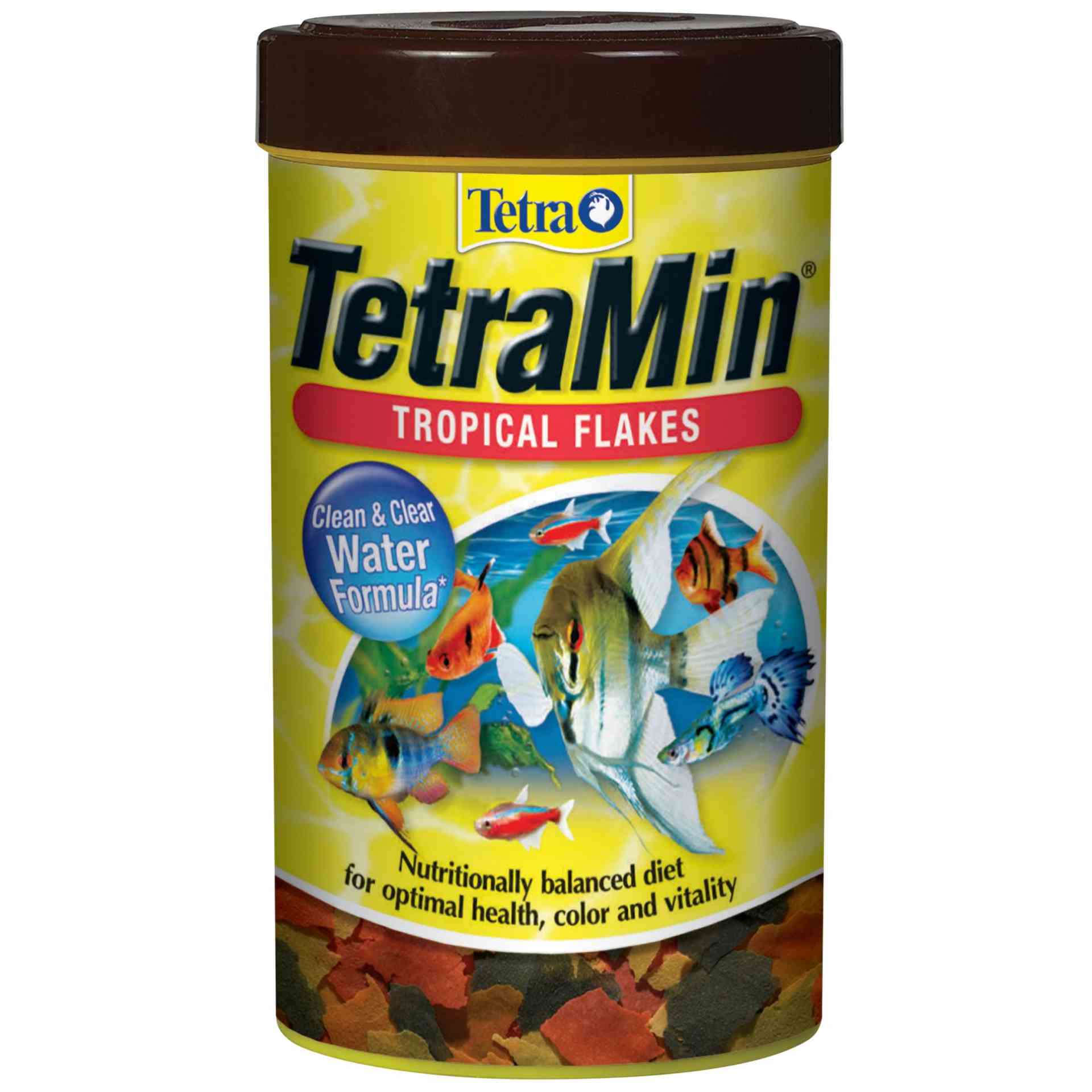 Tetramin Tropical Flakes (200g)